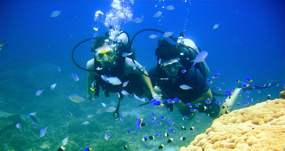 Tauchen auf den Seychellen